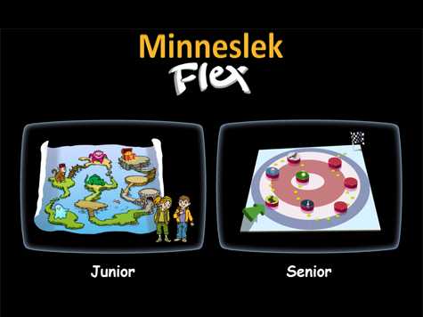 Minneslek Flex Online /
